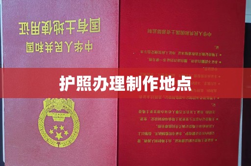 汝州护照办理制作地点