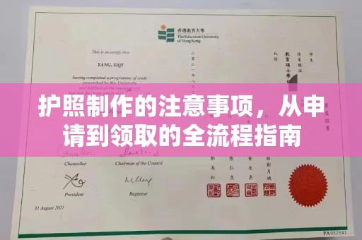 汝州护照制作的注意事项，从申请到领取的全流程指南