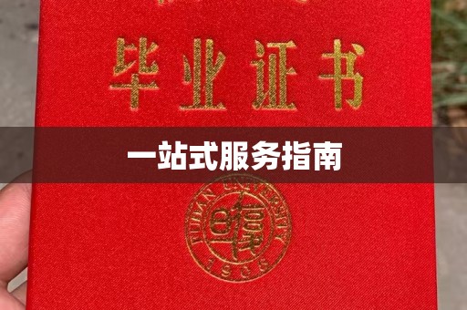 汝州一站式服务指南