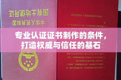 汝州专业认证证书制作的条件，打造权威与信任的基石