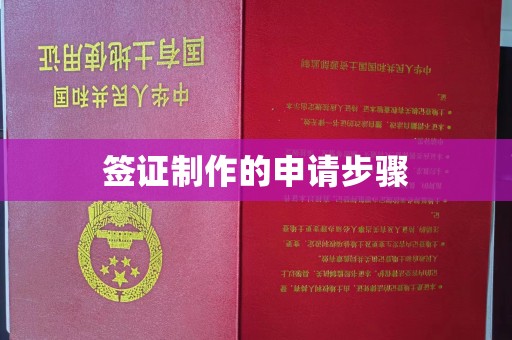 汝州签证制作的申请步骤